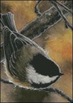 Autumn Chickadee - MW (image for) Autumn Chickadee - MW